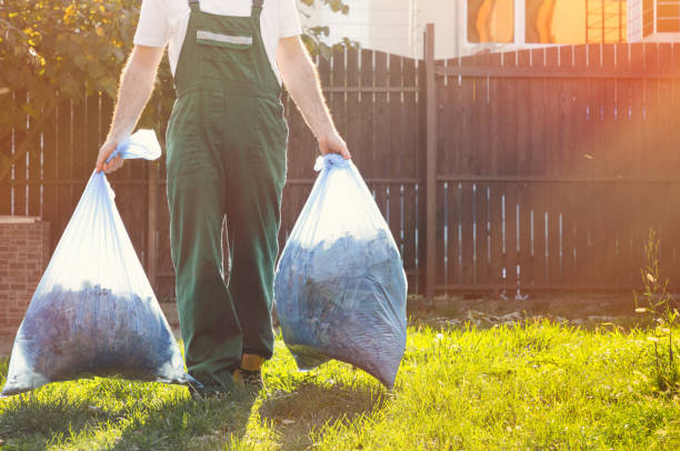 Best Estate Cleanout Services  in Brighton, IL