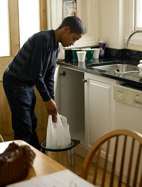 Best Junk Hauling Services  in Brighton, IL